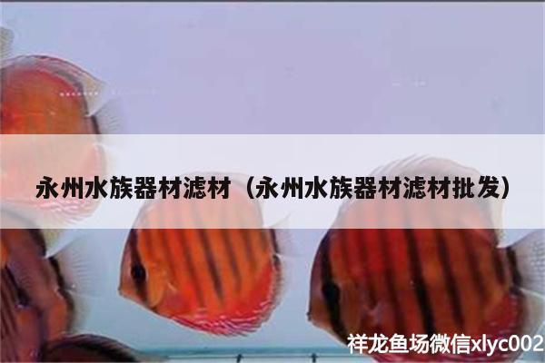 永州水族器材濾材（永州水族器材濾材批發(fā)） 羅漢魚批發(fā)