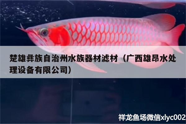 楚雄彝族自治州水族器材濾材（廣西雄昂水處理設(shè)備有限公司）