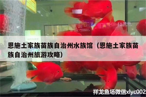 恩施土家族苗族自治州水族館（恩施土家族苗族自治州旅游攻略）