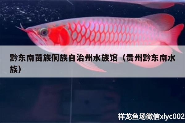 黔東南苗族侗族自治州水族館（貴州黔東南水族）