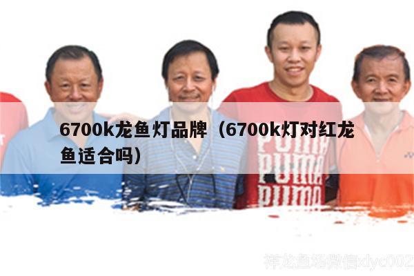 6700k龍魚燈品牌（6700k燈對紅龍魚適合嗎） 一眉道人魚苗