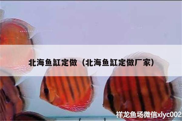 北海魚缸定做（北海魚缸定做廠家）