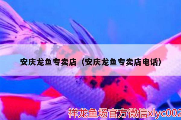 安慶龍魚專賣店（安慶龍魚專賣店電話） 水溫計