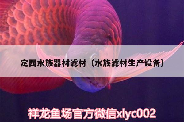 定西水族器材濾材（水族濾材生產設備）