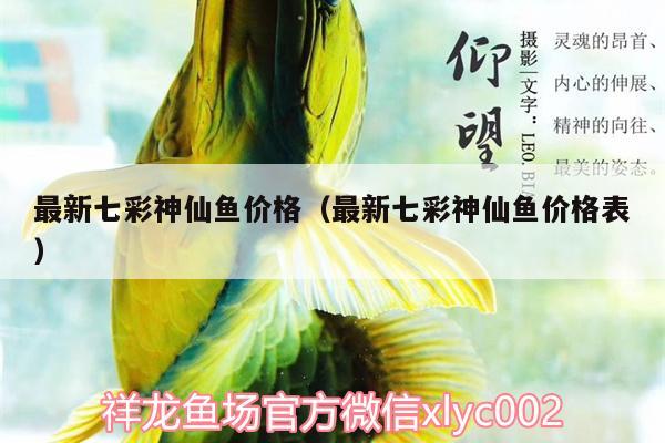 最新七彩神仙魚價格（最新七彩神仙魚價格表）