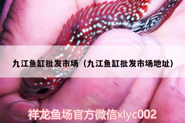 九江魚缸批發(fā)市場(chǎng)（九江魚缸批發(fā)市場(chǎng)地址）