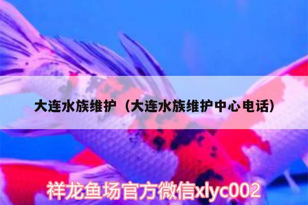 大連水族維護（大連水族維護中心電話）