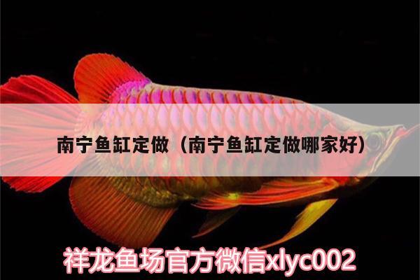 南寧魚缸定做（南寧魚缸定做哪家好） 申古銀版魚