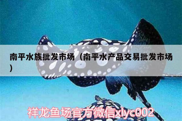 南平水族批發(fā)市場(chǎng)（南平水產(chǎn)品交易批發(fā)市場(chǎng)） 觀賞魚水族批發(fā)市場(chǎng)