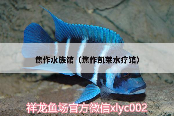 焦作水族館（焦作凱萊水療館）