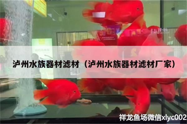 瀘州水族器材濾材（瀘州水族器材濾材廠家） 黃金貓魚百科