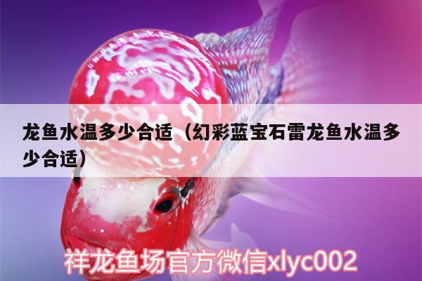 龍魚水溫多少合適（幻彩藍(lán)寶石雷龍魚水溫多少合適） 女王大帆魚苗