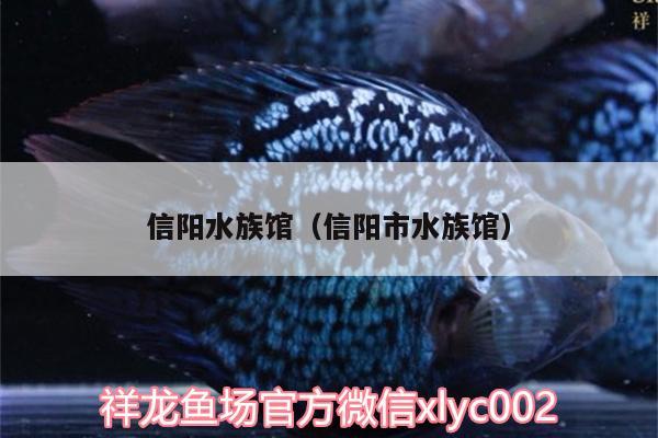 信陽水族館（信陽市水族館）