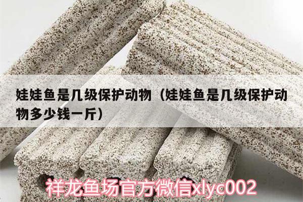 娃娃魚是幾級保護(hù)動物（娃娃魚是幾級保護(hù)動物多少錢一斤）