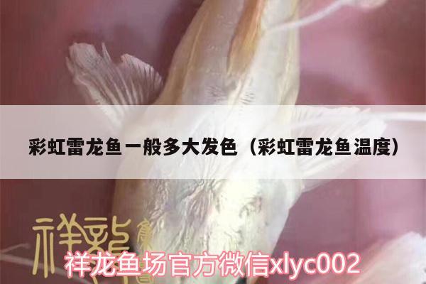 彩虹雷龍魚一般多大發(fā)色（彩虹雷龍魚溫度）