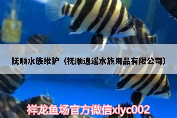 撫順?biāo)寰S護(hù)（撫順逍遙水族用品有限公司） 水族用品