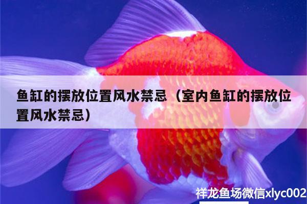 魚(yú)缸的擺放位置風(fēng)水禁忌（室內(nèi)魚(yú)缸的擺放位置風(fēng)水禁忌）