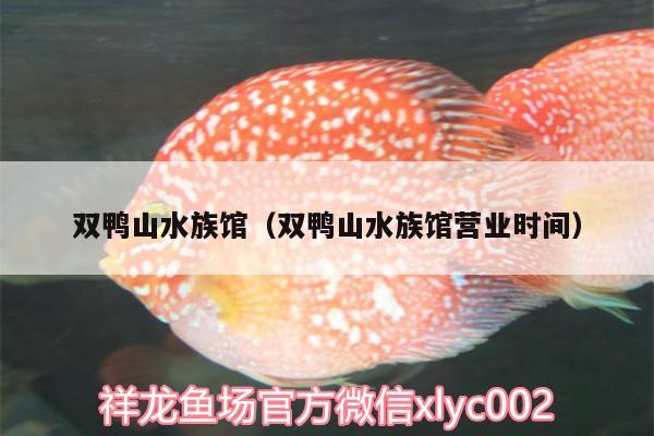 雙鴨山水族館（雙鴨山水族館營(yíng)業(yè)時(shí)間）