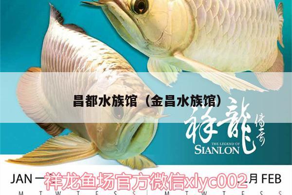 昌都水族館（金昌水族館） 虎斑恐龍魚 第2張