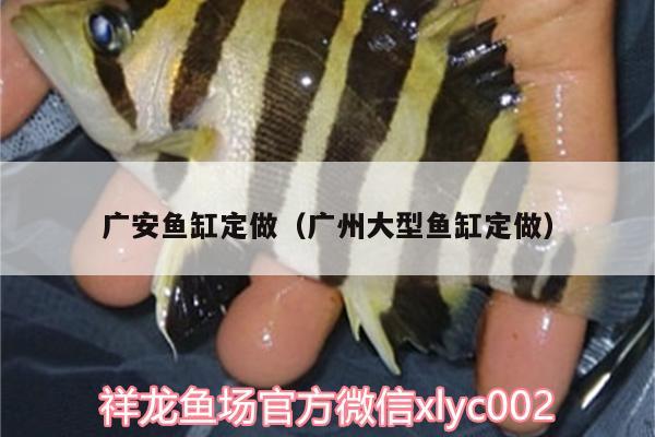 廣安魚缸定做（廣州大型魚缸定做）