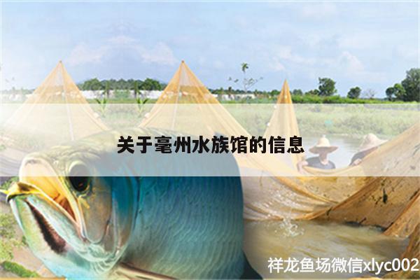 關(guān)于毫州水族館的信息 綠皮皇冠豹魚