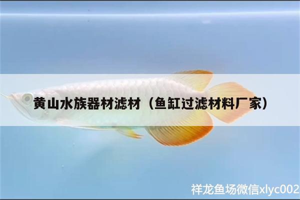 黃山水族器材濾材（魚缸過濾材料廠家）