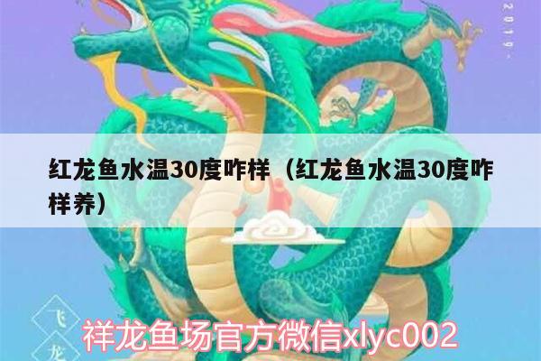 紅龍魚水溫30度咋樣（紅龍魚水溫30度咋樣養(yǎng)）