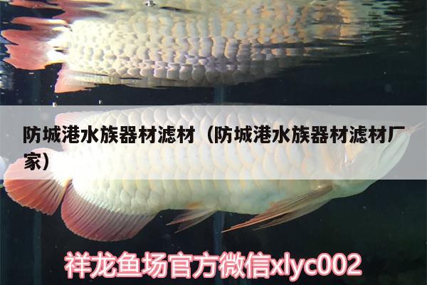 防城港水族器材濾材（防城港水族器材濾材廠家）