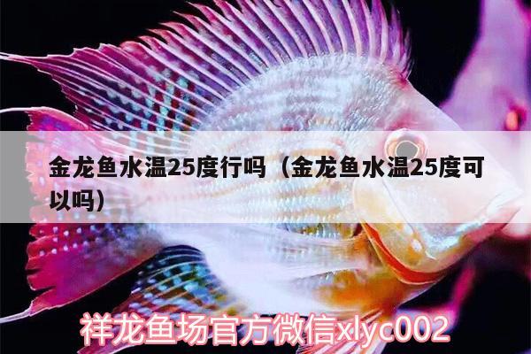 金龍魚水溫25度行嗎（金龍魚水溫25度可以嗎）