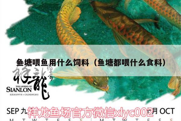 魚(yú)塘喂魚(yú)用什么飼料（魚(yú)塘都喂什么食料） 伊巴卡魚(yú)