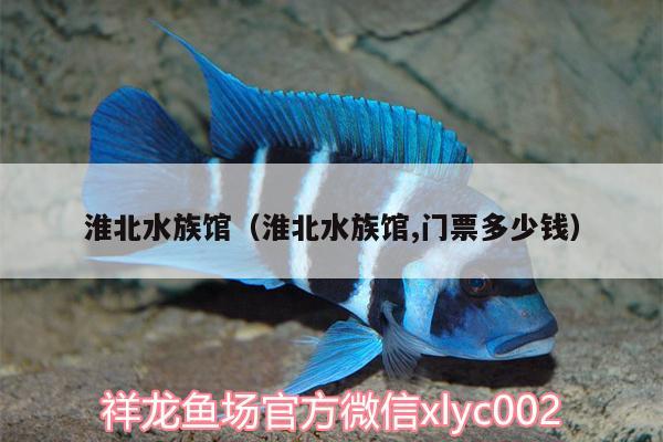 淮北水族館（淮北水族館,門(mén)票多少錢(qián)） 錦鯉魚(yú)百科