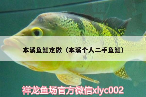 本溪魚缸定做（本溪個(gè)人二手魚缸） 暹羅巨鯉