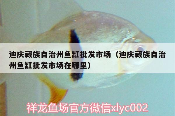 迪慶藏族自治州魚缸批發(fā)市場（迪慶藏族自治州魚缸批發(fā)市場在哪里）