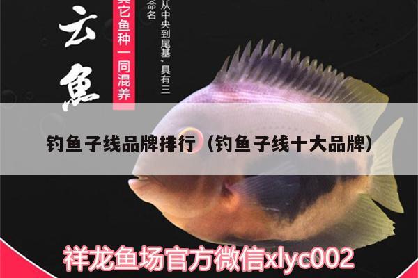 釣魚子線品牌排行（釣魚子線十大品牌） 垂釣樂園