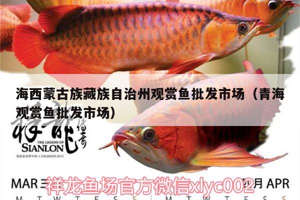 海西蒙古族藏族自治州觀賞魚批發(fā)市場(chǎng)（青海觀賞魚批發(fā)市場(chǎng)）