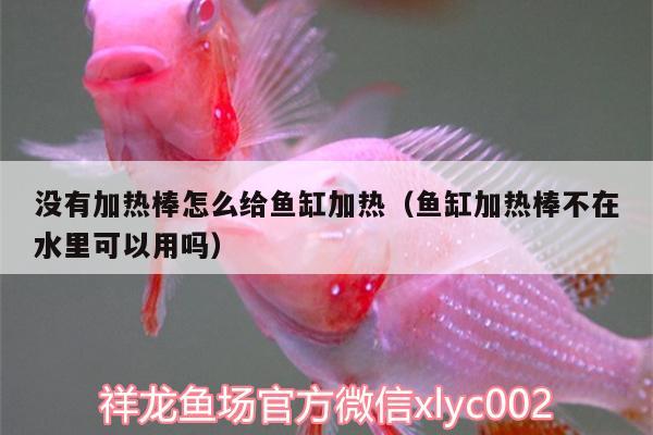 沒有加熱棒怎么給魚缸加熱（魚缸加熱棒不在水里可以用嗎）