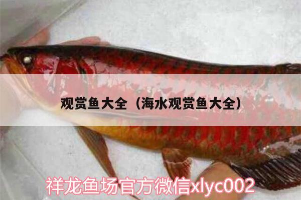 觀賞魚(yú)大全（海水觀賞魚(yú)大全） 過(guò)背金龍魚(yú)