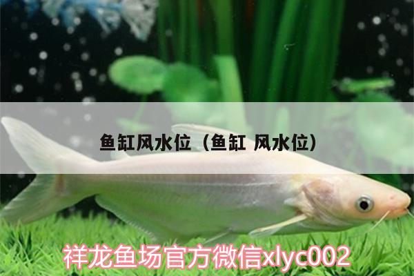 魚缸風水位（魚缸風水位）