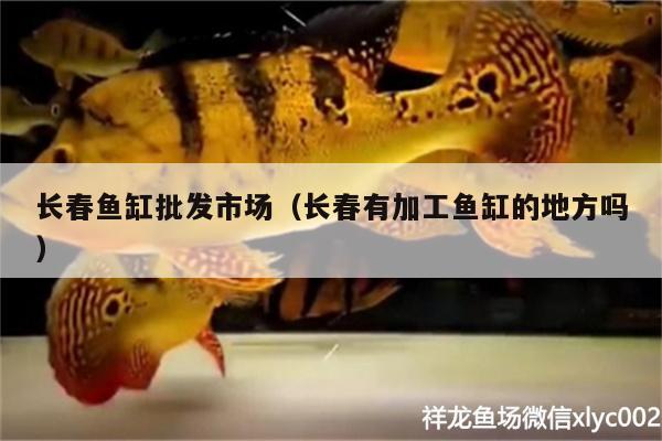 長(zhǎng)春魚缸批發(fā)市場(chǎng)（長(zhǎng)春有加工魚缸的地方嗎）