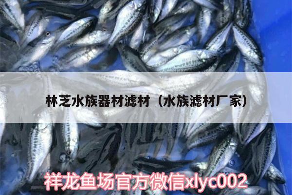 林芝水族器材濾材（水族濾材廠家） 一眉道人魚