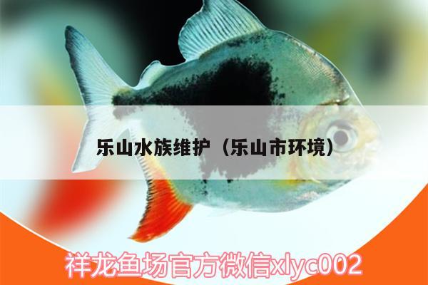 樂山水族維護（樂山市環(huán)境）