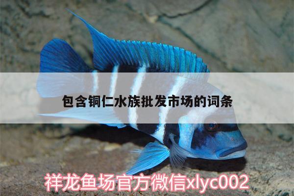 包含銅仁水族批發(fā)市場的詞條