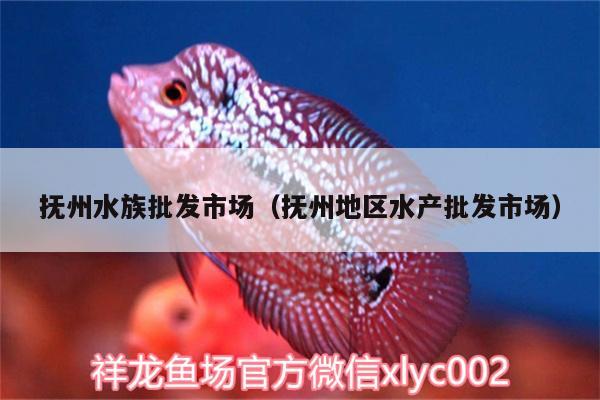 撫州水族批發(fā)市場(chǎng)（撫州地區(qū)水產(chǎn)批發(fā)市場(chǎng)） 觀賞魚(yú)水族批發(fā)市場(chǎng)