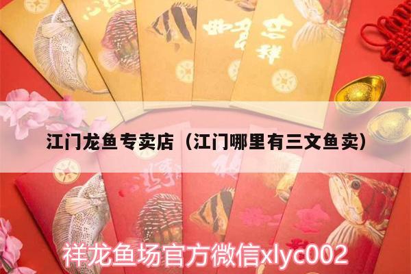 江門龍魚專賣店（江門哪里有三文魚賣） 皇冠黑白魟魚