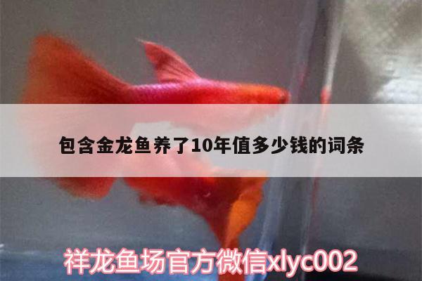 包含金龍魚養(yǎng)了10年值多少錢的詞條