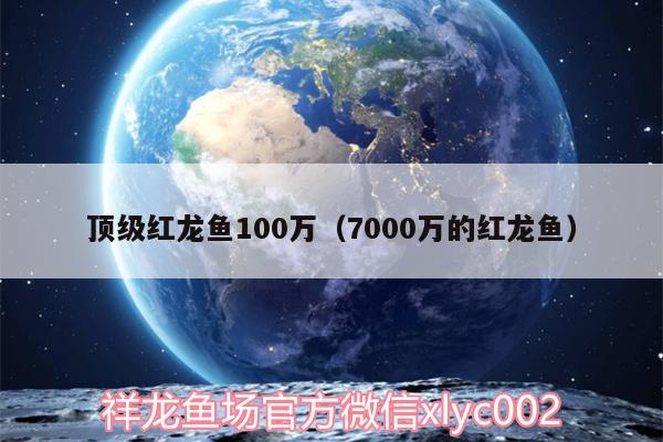 頂級(jí)紅龍魚(yú)100萬(wàn)（7000萬(wàn)的紅龍魚(yú)） 一眉道人魚(yú)苗