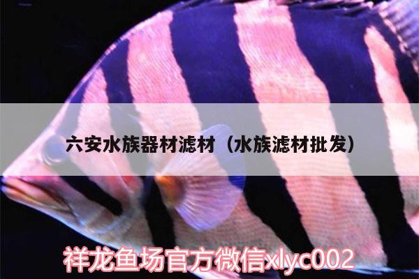 六安水族器材濾材（水族濾材批發(fā)） 觀賞魚(yú)飼料