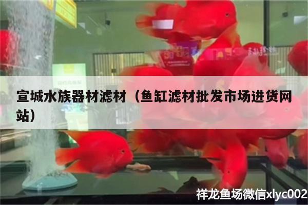 宣城水族器材濾材（魚缸濾材批發(fā)市場(chǎng)進(jìn)貨網(wǎng)站）