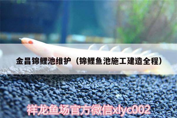 金昌錦鯉池維護(hù)（錦鯉魚池施工建造全程） 觀賞魚百科