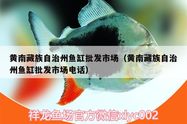 黃南藏族自治州魚缸批發(fā)市場(chǎng)（黃南藏族自治州魚缸批發(fā)市場(chǎng)電話） 三間鼠魚苗